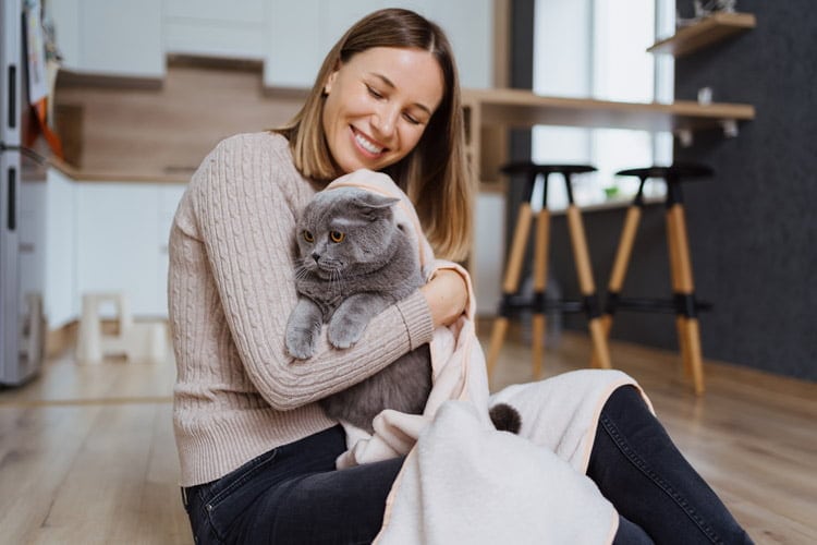 Försäkra din katt med rätt försäkring